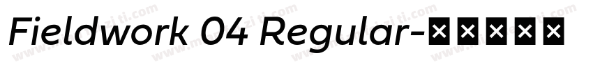 Fieldwork 04 Regular字体转换